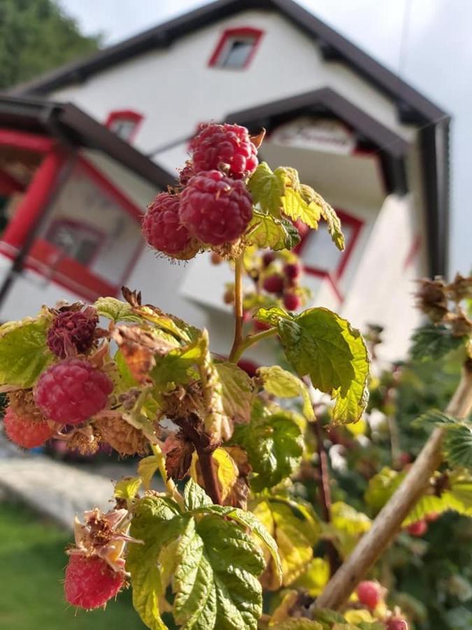 Villa Jelena Mavrovo Exterior photo